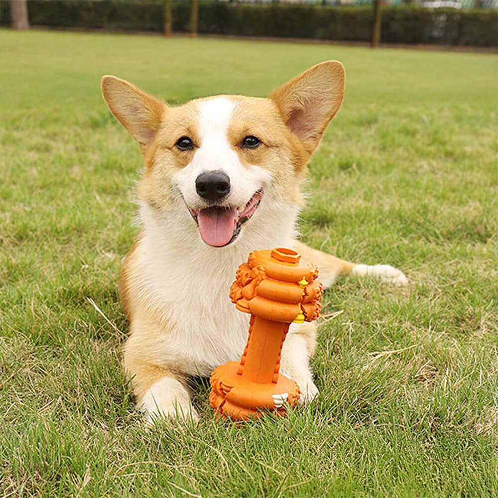 Haltere Silicone Alimentador Lento Durável Brinquedo Interativo para Cachorro