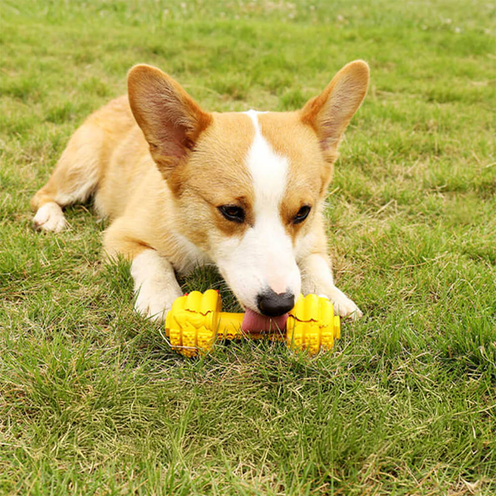 Haltere Silicone Alimentador Lento Durável Brinquedo Interativo para Cachorro