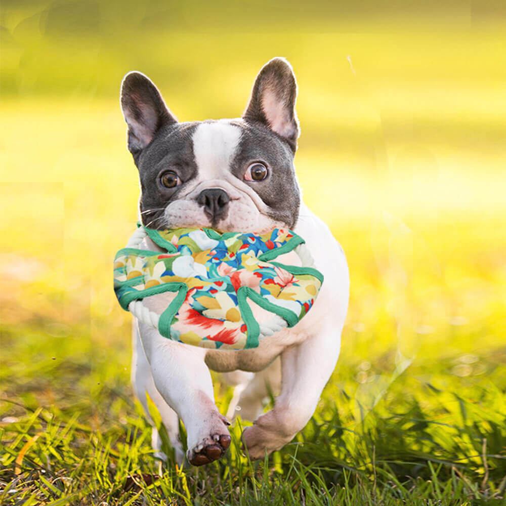 Estampa floral Lona Cachorro Brinquedo Resistente à Mastigação Brinquedo Que Faz Barulho