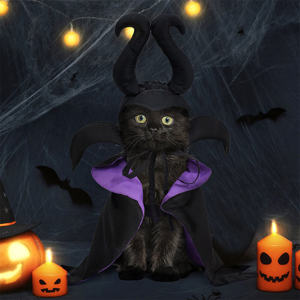 Fantasia de capa de bruxa de Halloween para animais de estimação