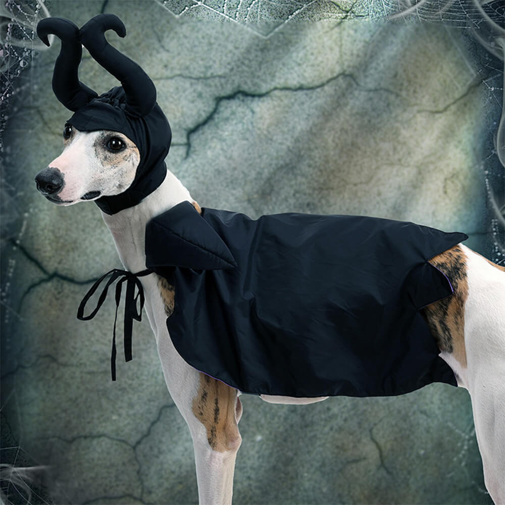 Fantasia de capa de bruxa de Halloween para animais de estimação