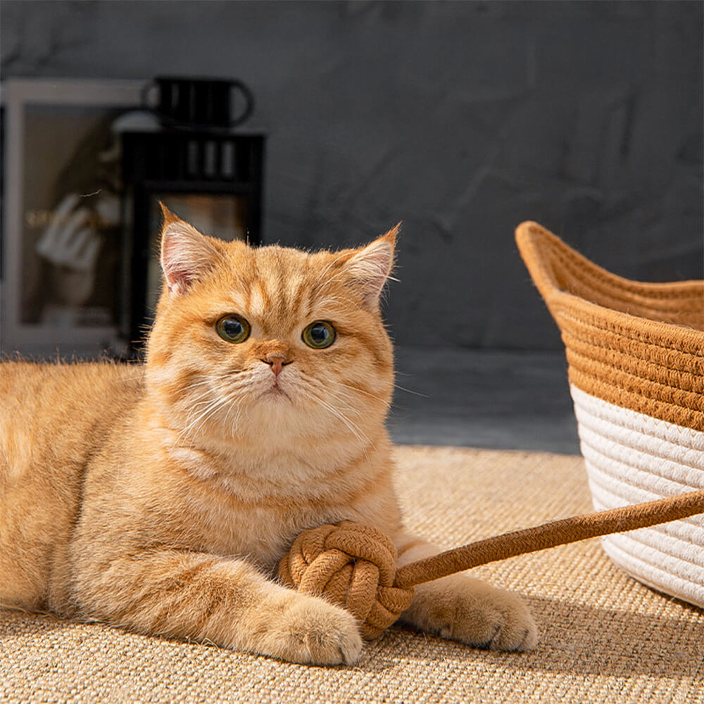 Cama de ninho de gato feita à mão, aconchegante, multiuso, durável e trançada