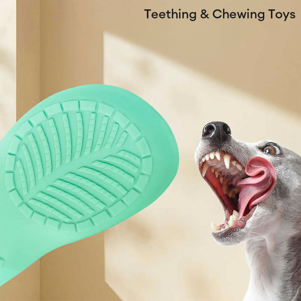 Chinelo de látex com apito, brinquedo interativo durável para limpeza dos dentes do cachorro