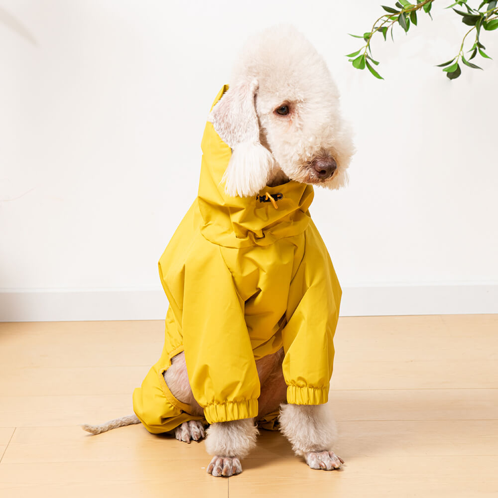 Capa de chuva leve e impermeável para cães ao ar livre com capuz