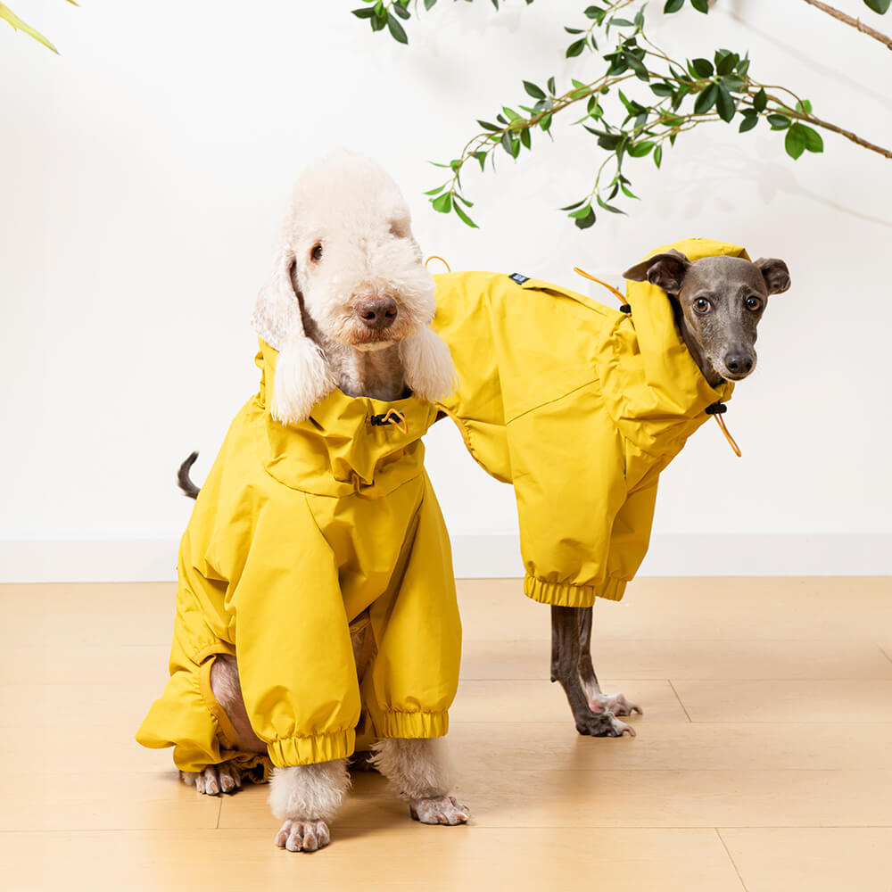 Capa de chuva leve e impermeável para cães ao ar livre com capuz