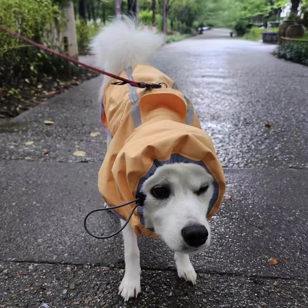 Capa de chuva leve e impermeável para cães ao ar livre com capuz de faixa refletiva