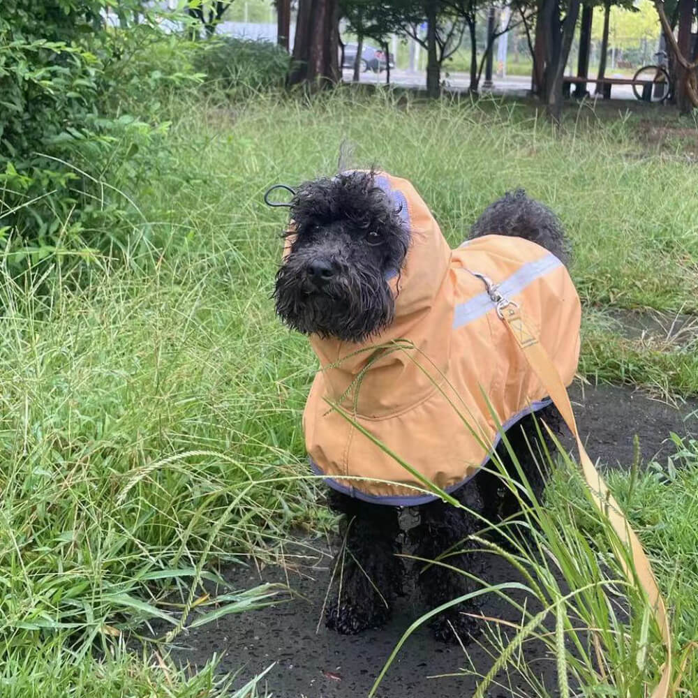 Capa de chuva leve e impermeável para cães ao ar livre com capuz de faixa refletiva