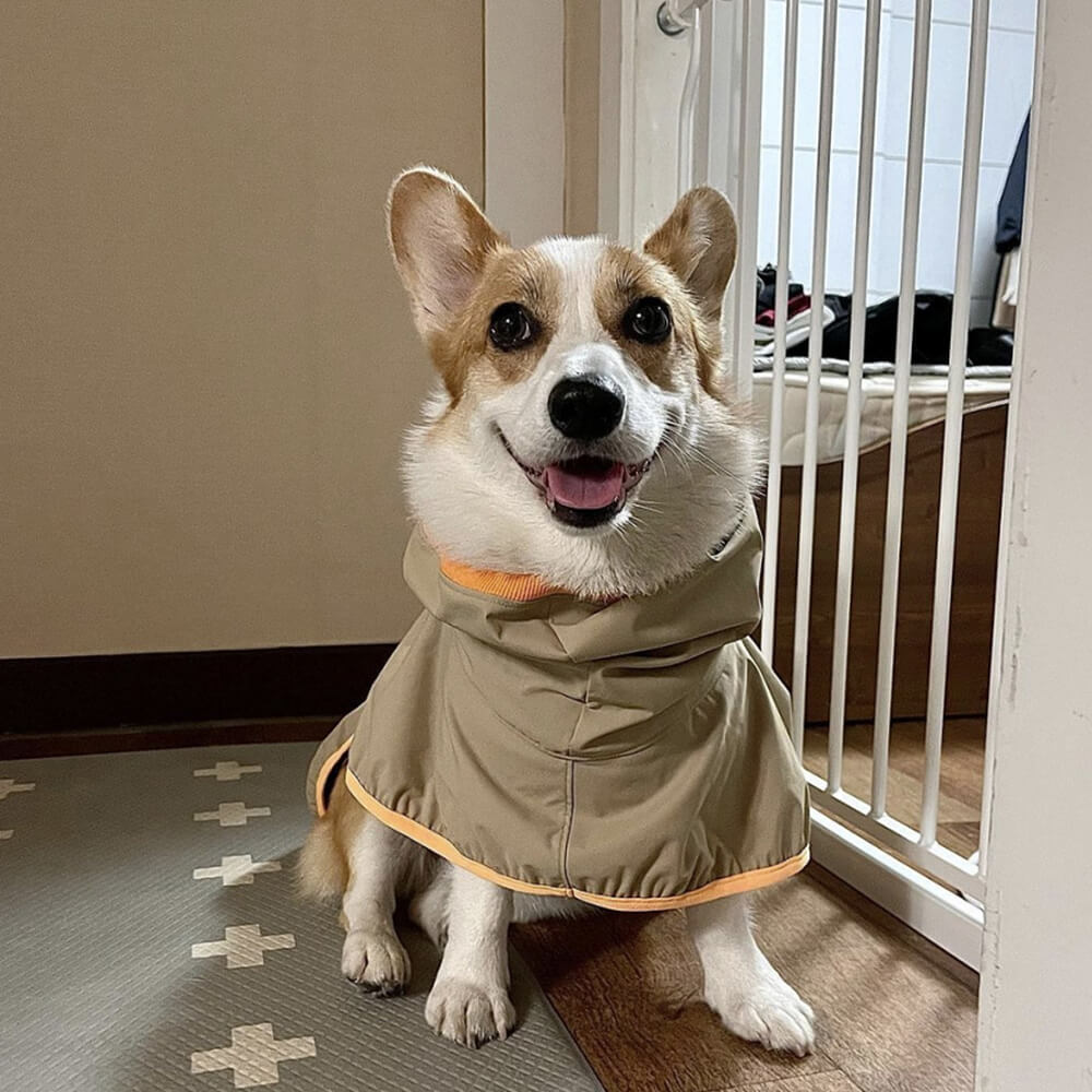 Capa de chuva leve e impermeável para cães ao ar livre com capuz de faixa refletiva