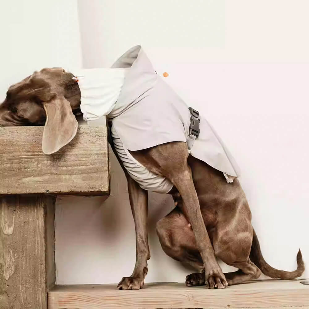 Casaco de cachorro de gola alta leve e à prova d'água com estilo ao ar livre e capa de chuva