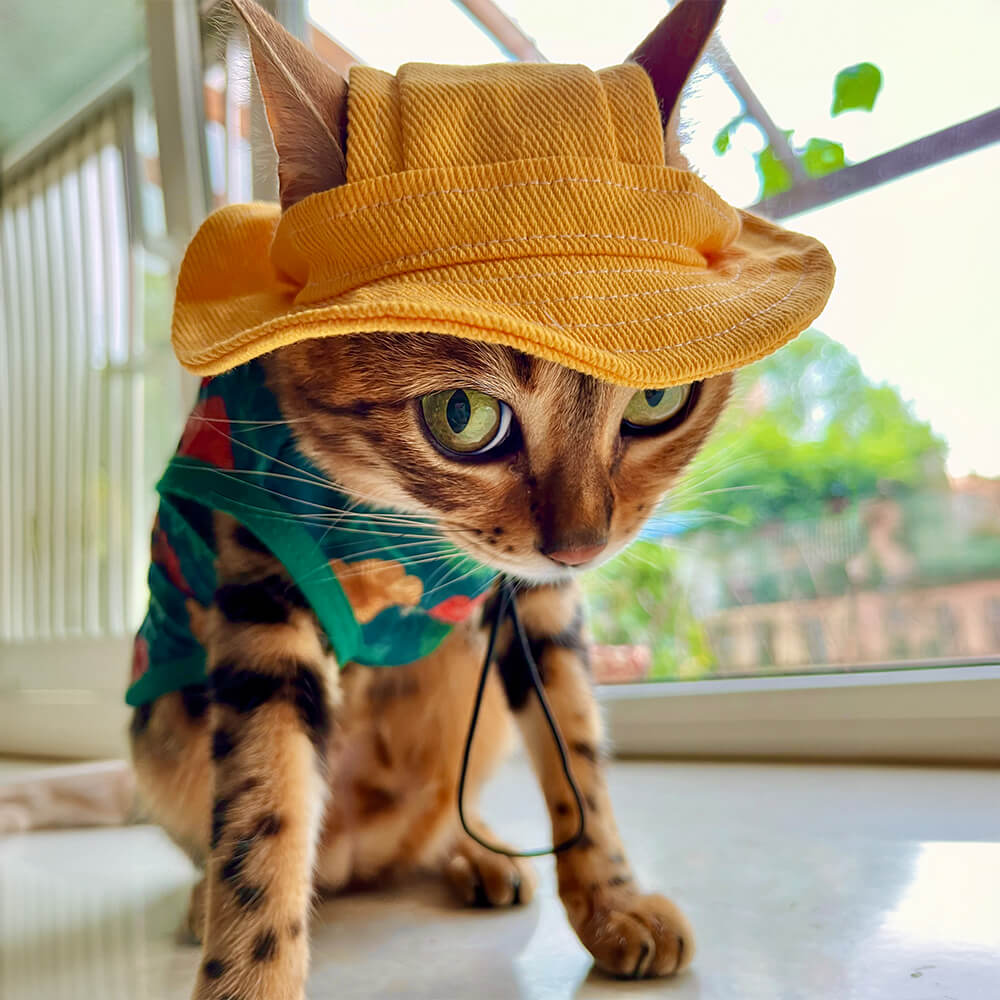 Balde de cowboy de proteção solar ao ar livre Chapéu Pet Chapéu