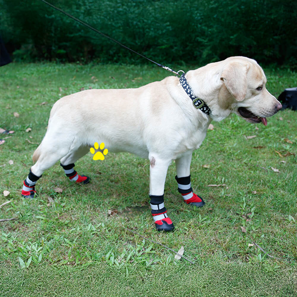 Botas para cães refletivas, duráveis, impermeáveis e quentes para uso externo