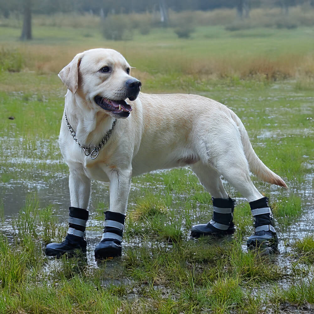 Botas para cães refletivas, duráveis, impermeáveis e quentes para uso externo