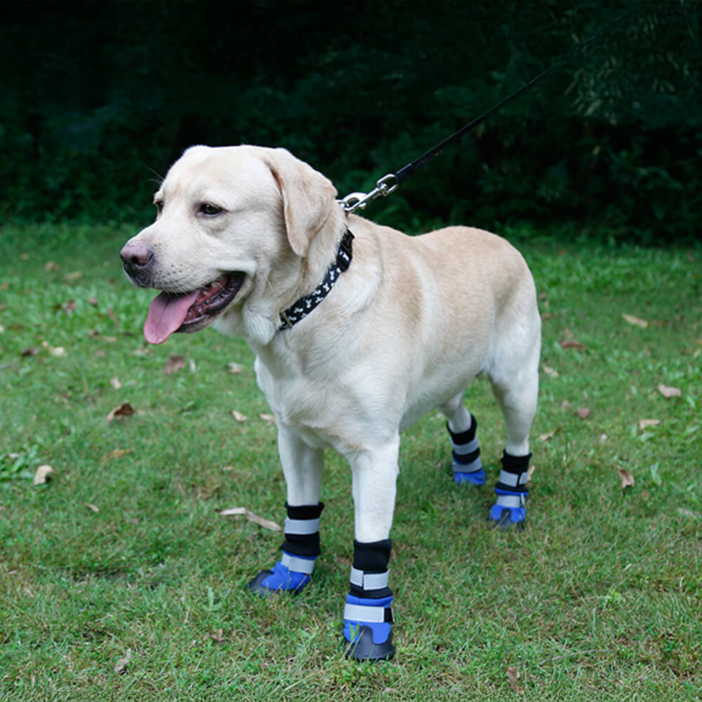 Botas para cães refletivas, duráveis, impermeáveis e quentes para uso externo