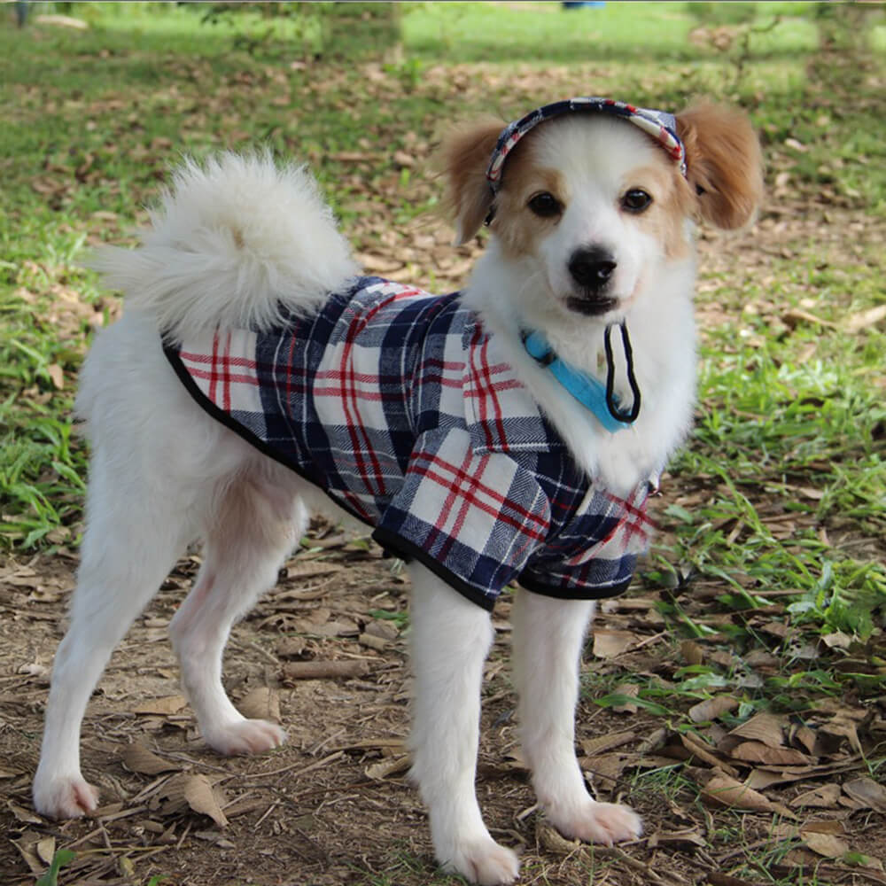 Conjunto de Chapéu e Casaco Ajustável para Cão com Proteção Solar em Oxford xadrez