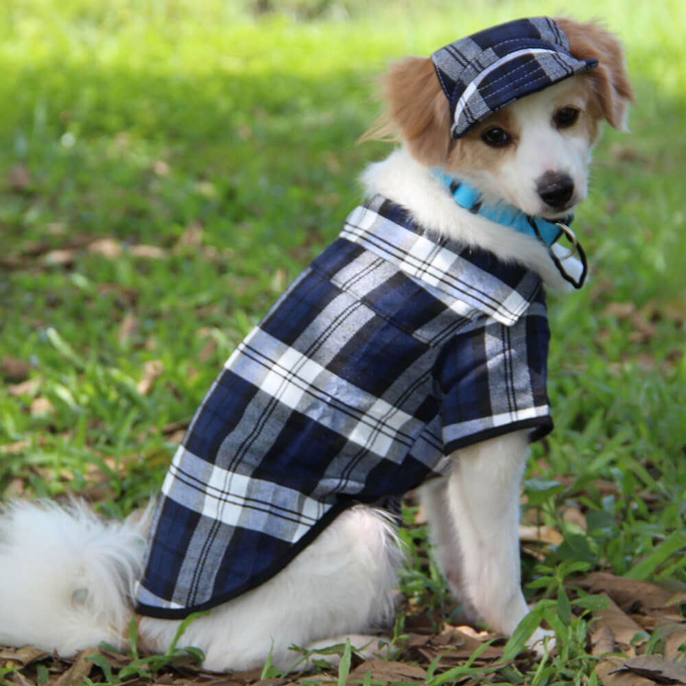 Conjunto de Chapéu e Casaco Ajustável para Cão com Proteção Solar em Oxford xadrez