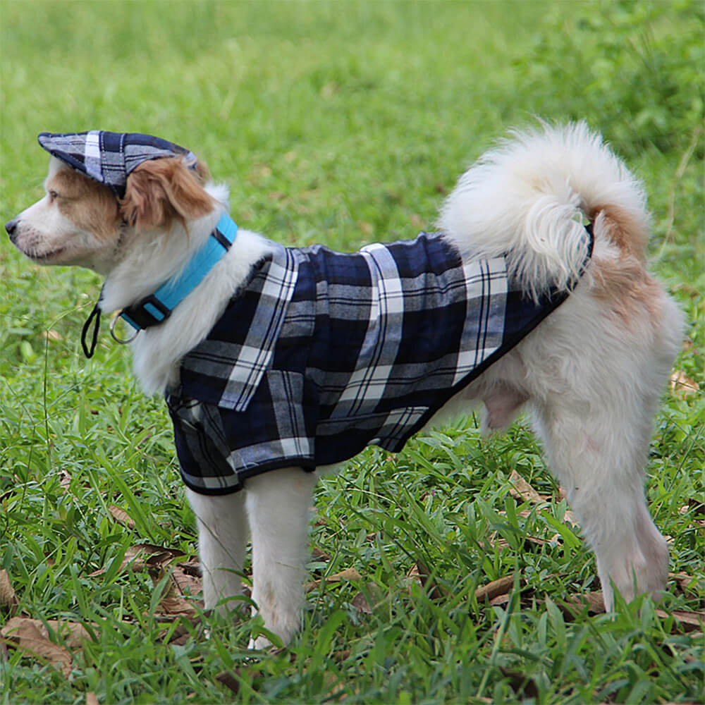 Conjunto de Chapéu e Casaco Ajustável para Cão com Proteção Solar em Oxford xadrez