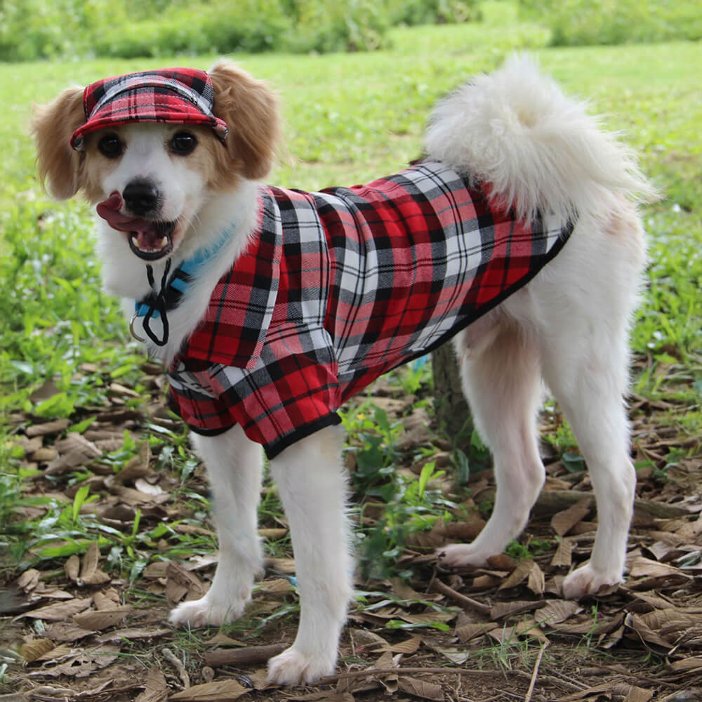 Conjunto de Chapéu e Casaco Ajustável para Cão com Proteção Solar em Oxford xadrez