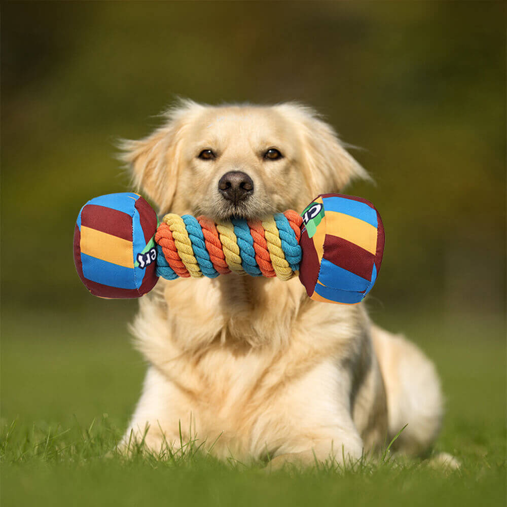 Brinquedo interativo para cachorro com corda estridente e durável com halteres arco-íris