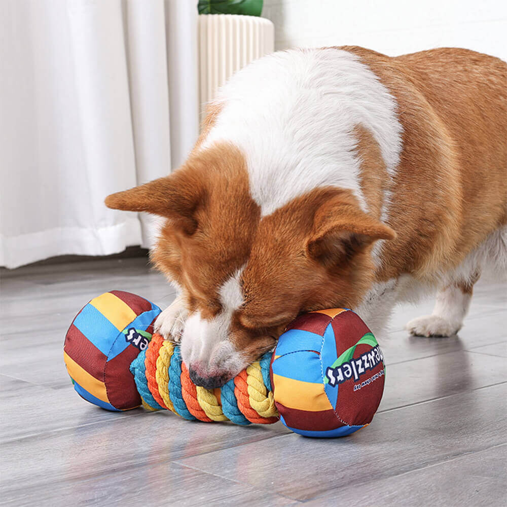 Brinquedo interativo para cachorro com corda estridente e durável com halteres arco-íris