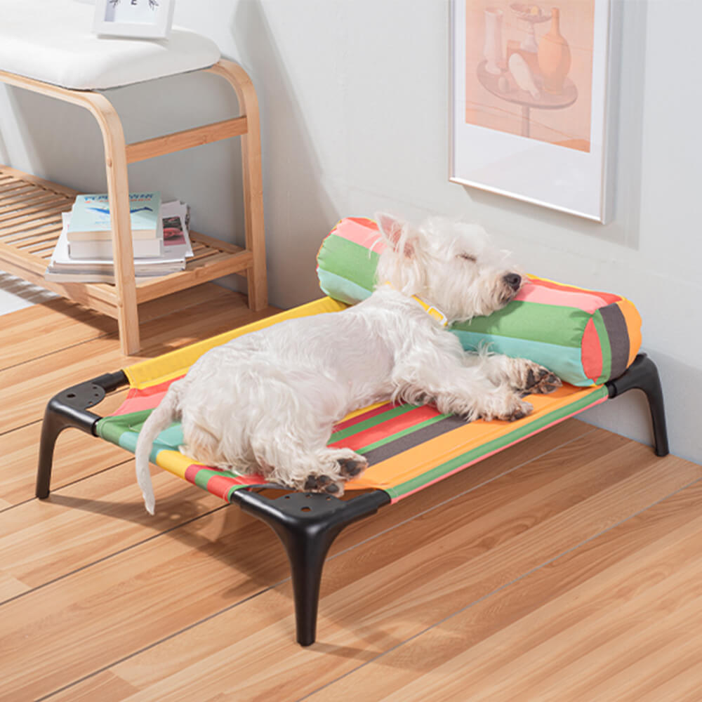 Cama elevada para animais de estimação com listras de arco-íris e travesseiro – durável, resistente a mordidas e com capacidade de carga