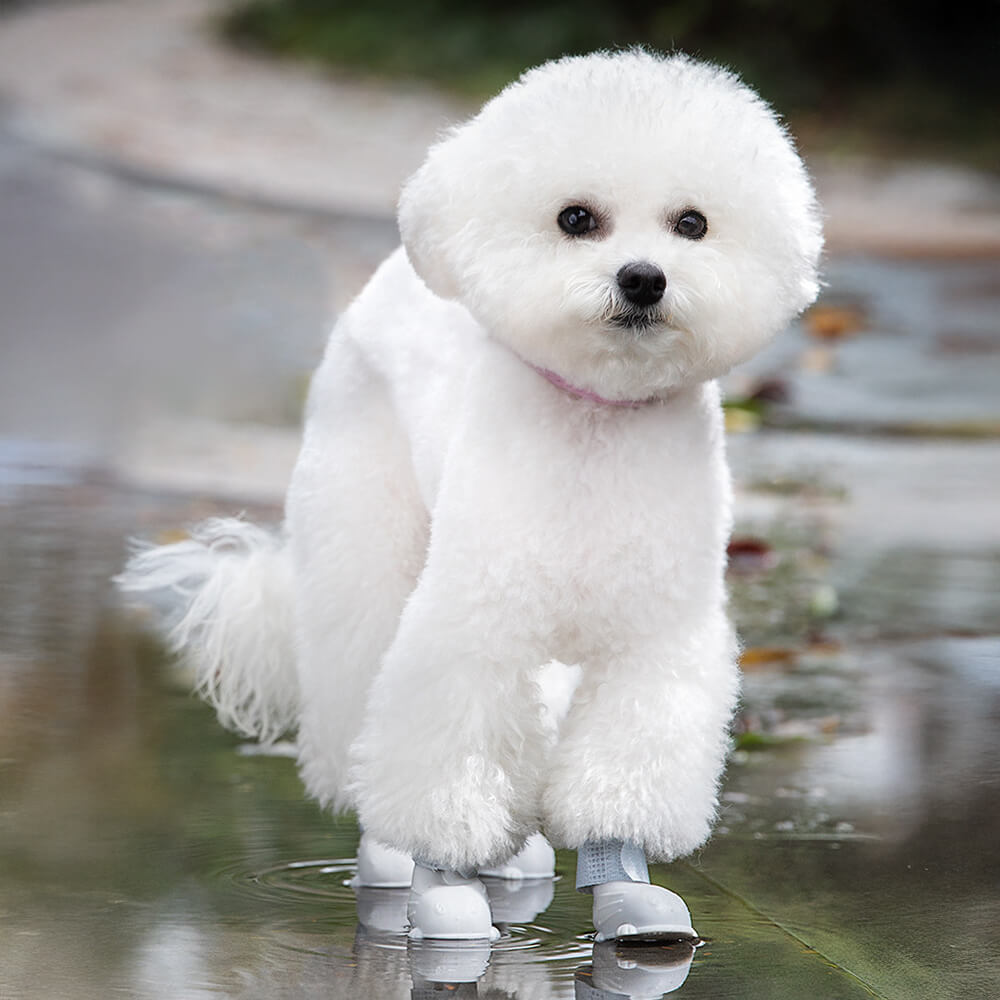 Sapatos de chuva para cães, macios, à prova d'água, leves e antiderrapantes para atividades ao ar livre