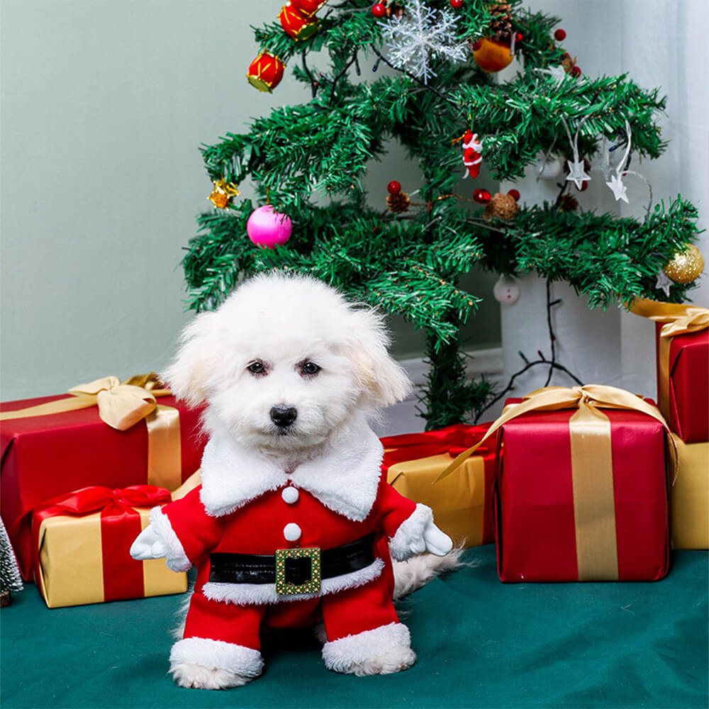 Estereoscópico Natal Papai Noel Traje Chapéu Cosplay Cachorro Traje