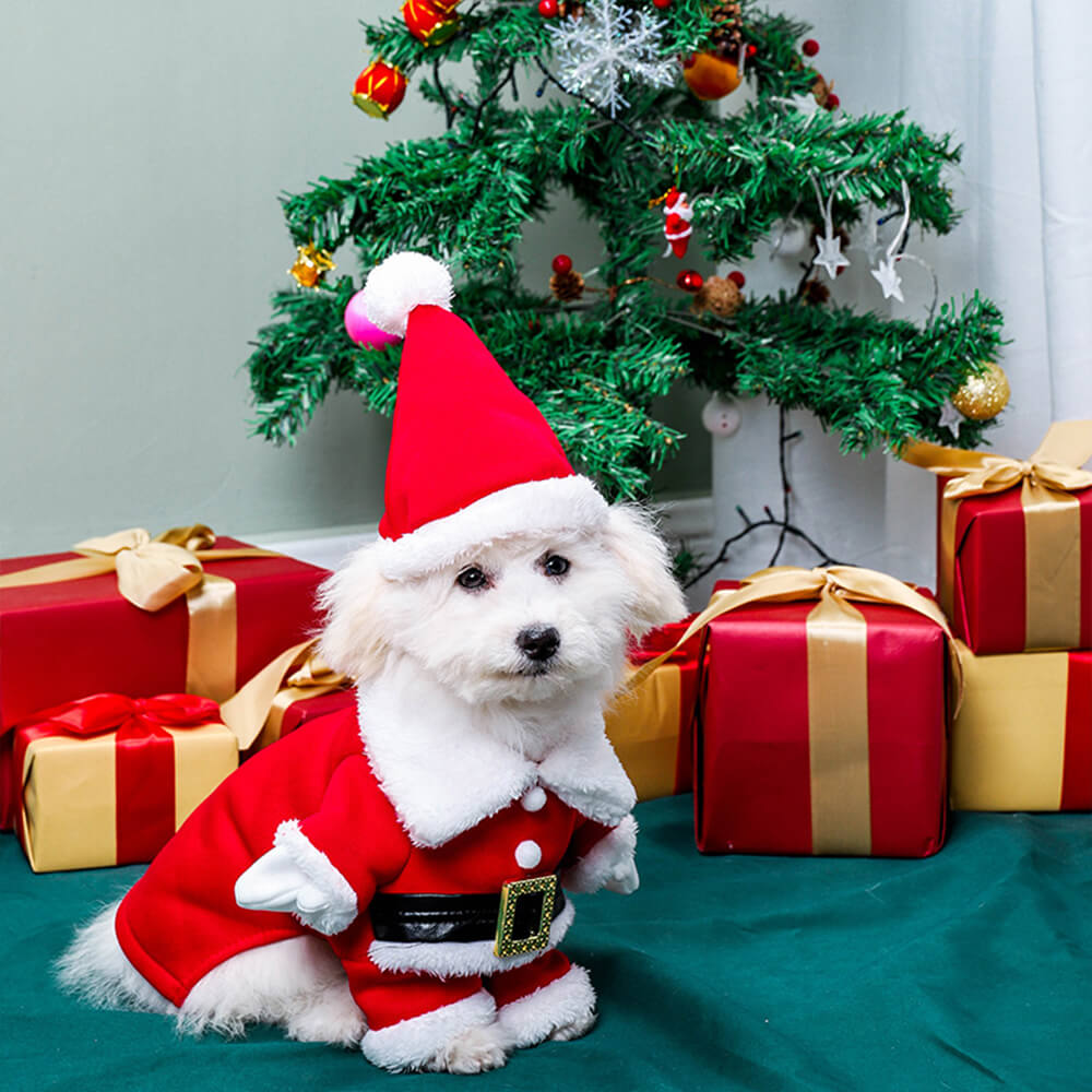 Estereoscópico Natal Papai Noel Traje Chapéu Cosplay Cachorro Traje