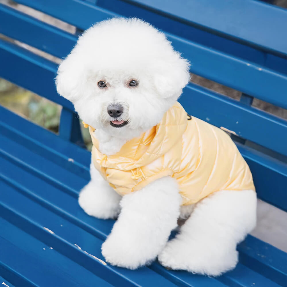 Colete com capuz para cachorro leve e quente da moda com coleira de argola em D