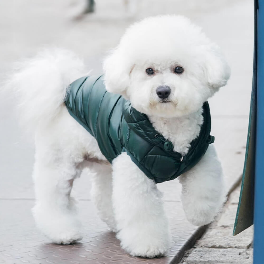 Colete com capuz para cachorro leve e quente da moda com coleira de argola em D