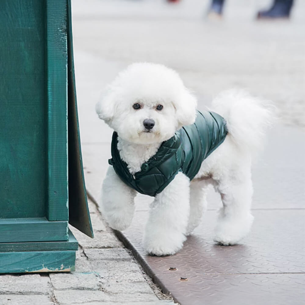 Colete com capuz para cachorro leve e quente da moda com coleira de argola em D