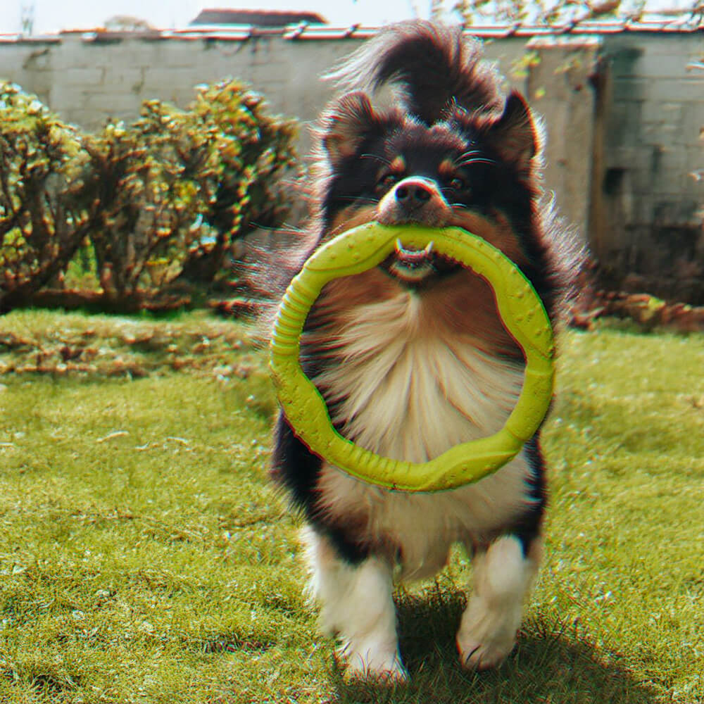 Anel de guerra durável à prova d'água leve flexível brinquedo interativo para cães