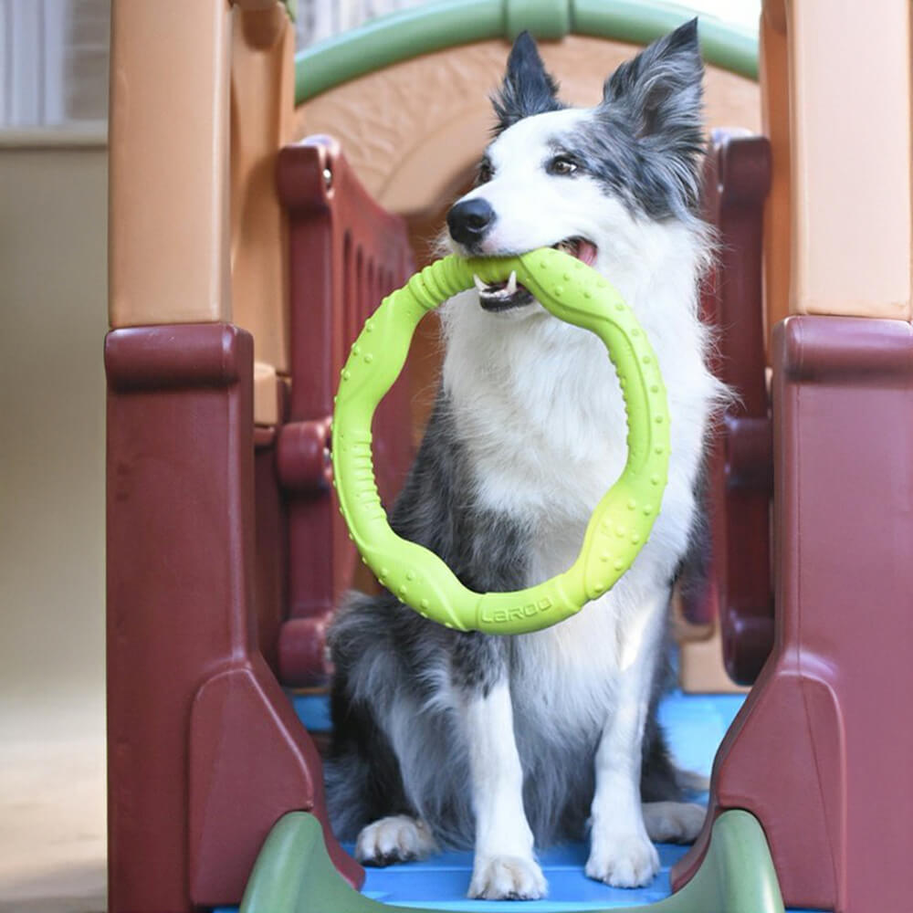 Anel de guerra durável à prova d'água leve flexível brinquedo interativo para cães