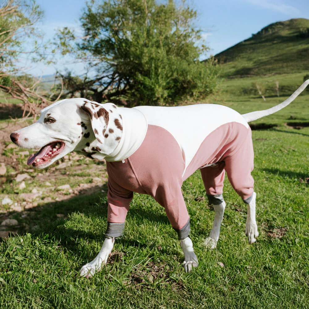 Macacão para cães quente, aconchegante, elástico, de gola alta, quatro patas, antiestático, para áreas externas