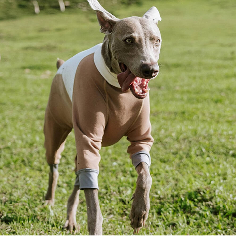 Macacão para cães quente, aconchegante, elástico, de gola alta, quatro patas, antiestático, para áreas externas