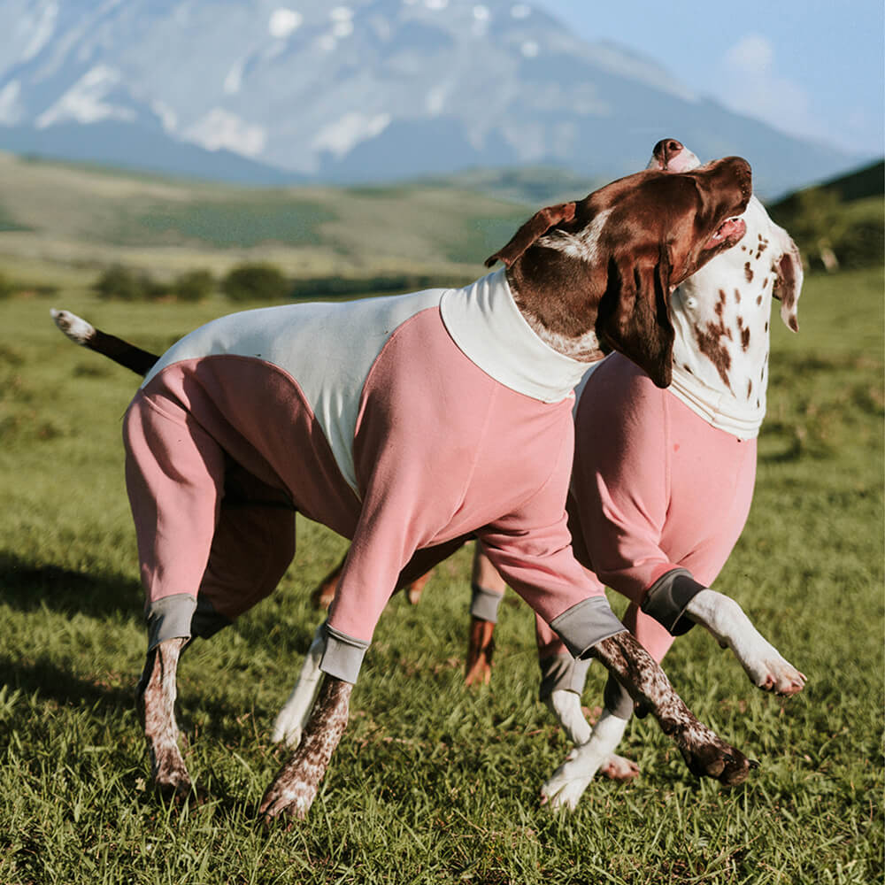 Macacão para cães quente, aconchegante, elástico, de gola alta, quatro patas, antiestático, para áreas externas