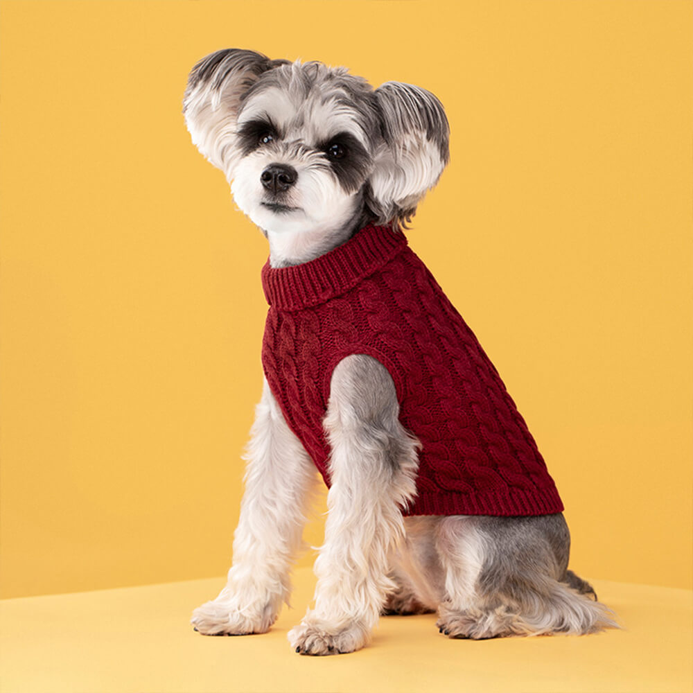 Colete Quente Roupas Gola Alta Cachorro Malha Suéter