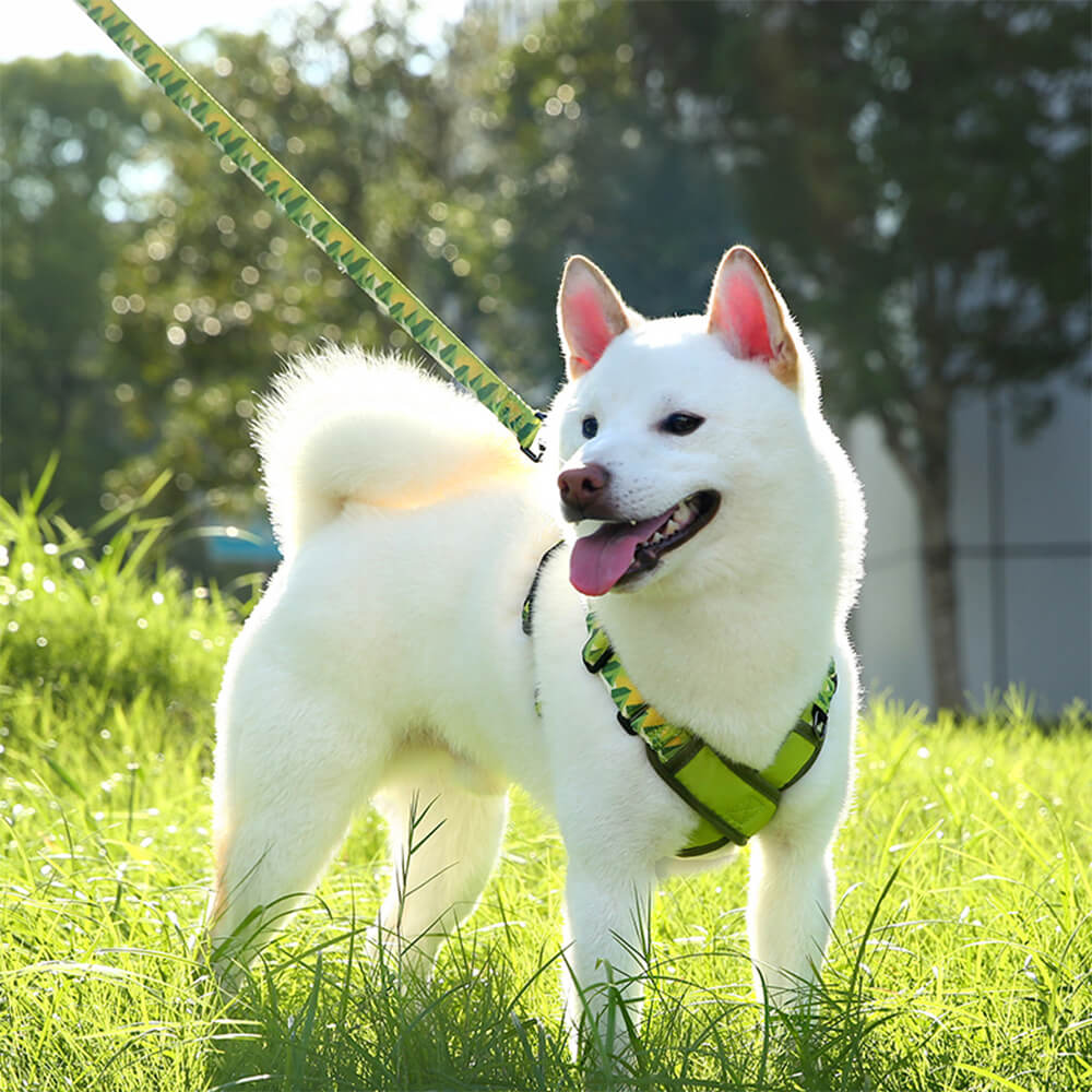 Kit de coleira e arreios ajustáveis e duráveis em formato de X para cães