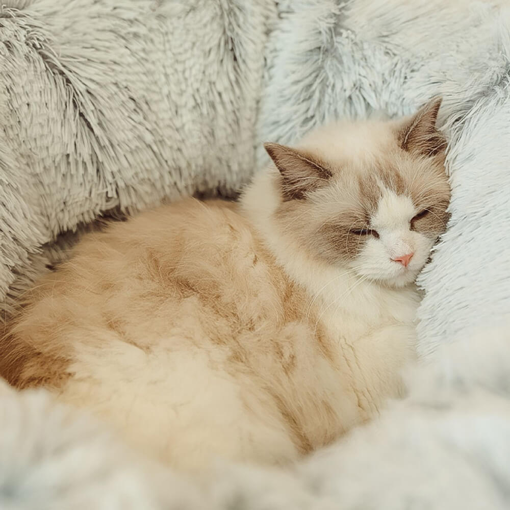 Cama de túnel redonda macia dobrável 2 em 1 para gatos