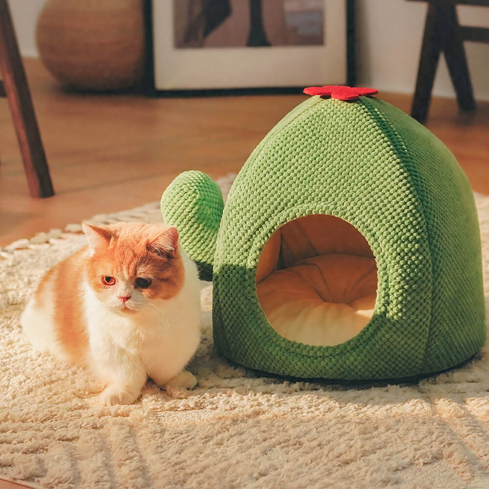 Cama quente para gato em formato de cacto