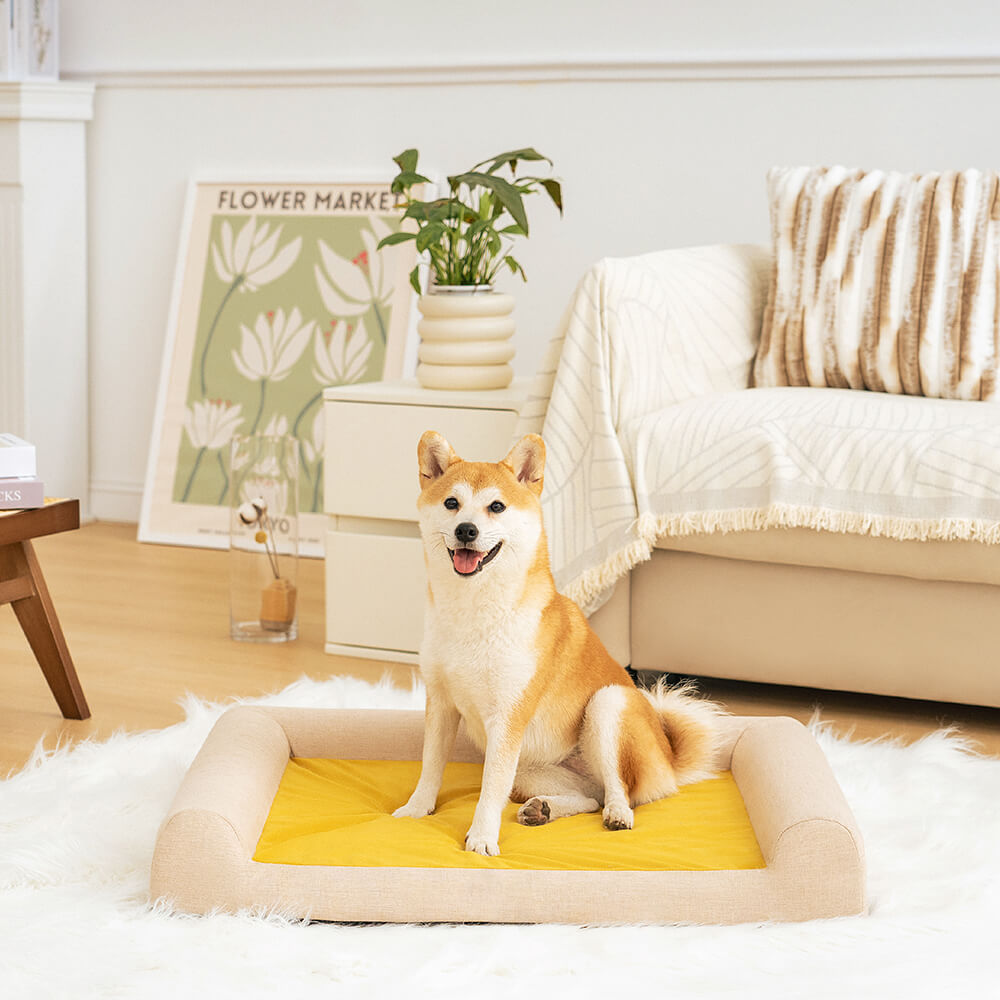 Cama Ortopédica Confortável com Suporte Total para Cães