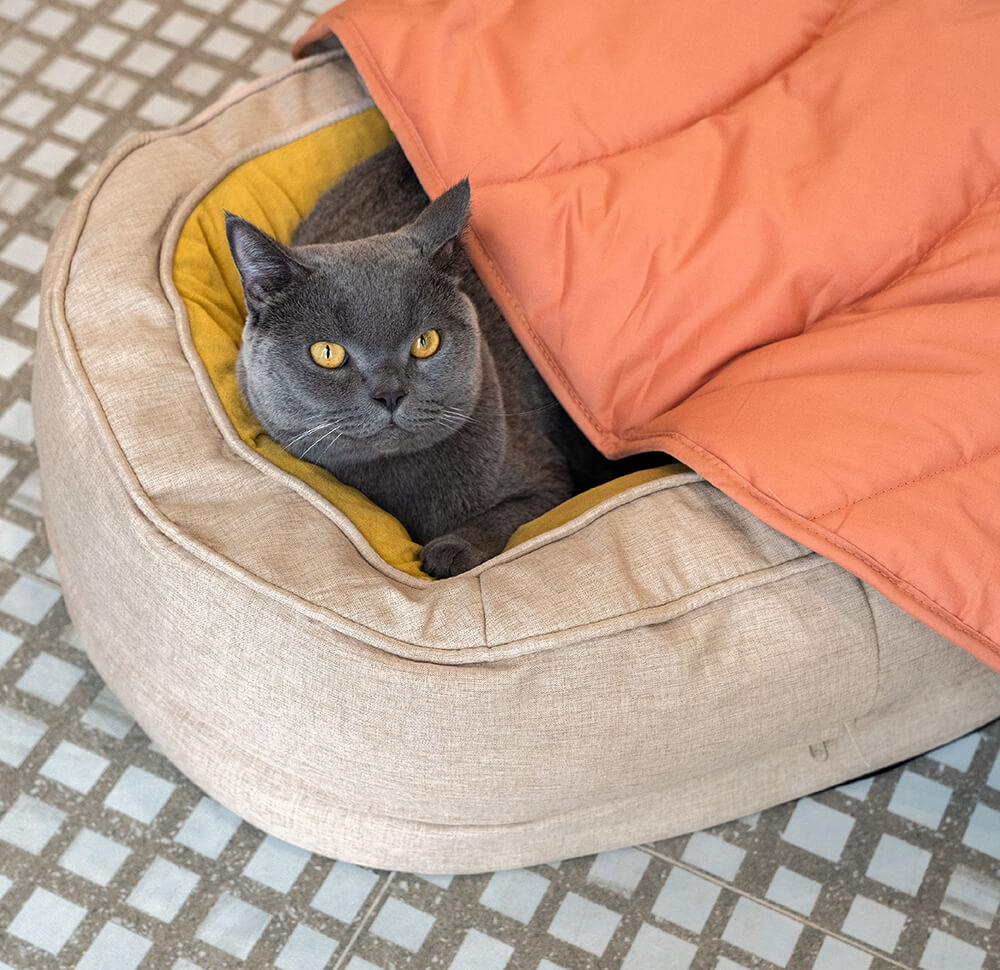 Cama ortopédica para cachorro donut