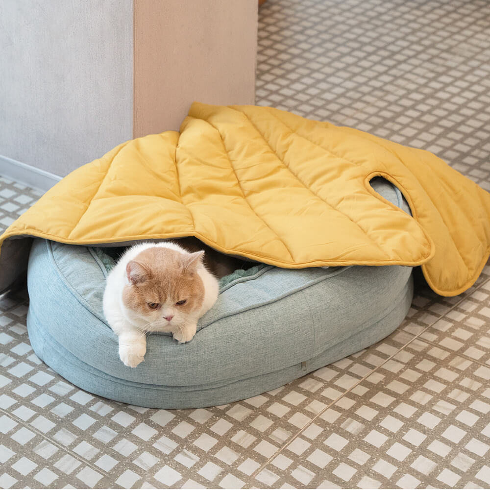 Cama ortopédica para cachorro donut