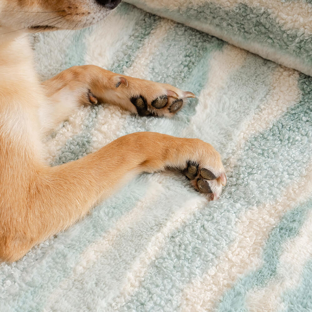 Sofá-cama Ortopédico Aconchegante para Cães em Estilo Moderno de Lã de Carneiro Sintética