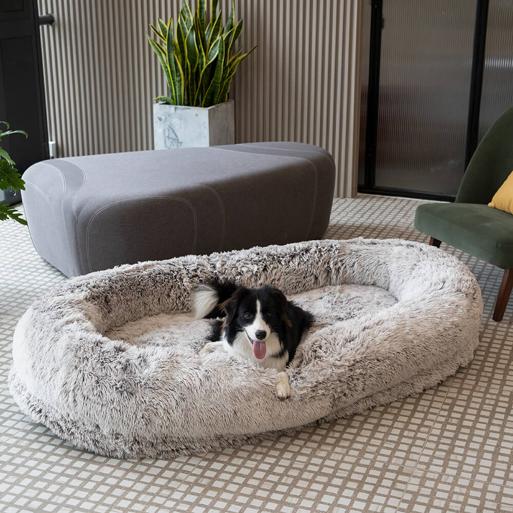 Cama Oval Luxuosa Super Grande para um Sono mais Profundo Cama para Cães e Pessoas