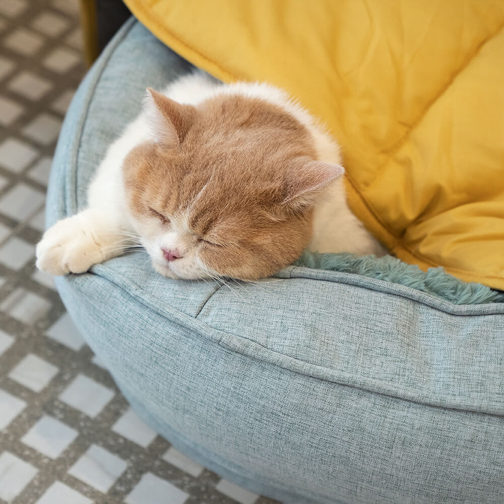 Cama Ortopédica Fofa para Cachorro Donut