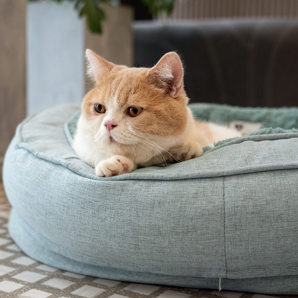 Cama ortopédica para cachorro donut