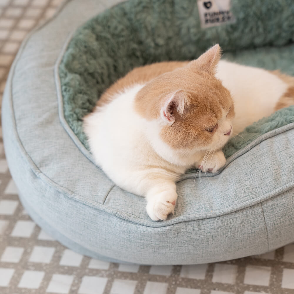 Cama Ortopédica Fofa para Cachorro Donut