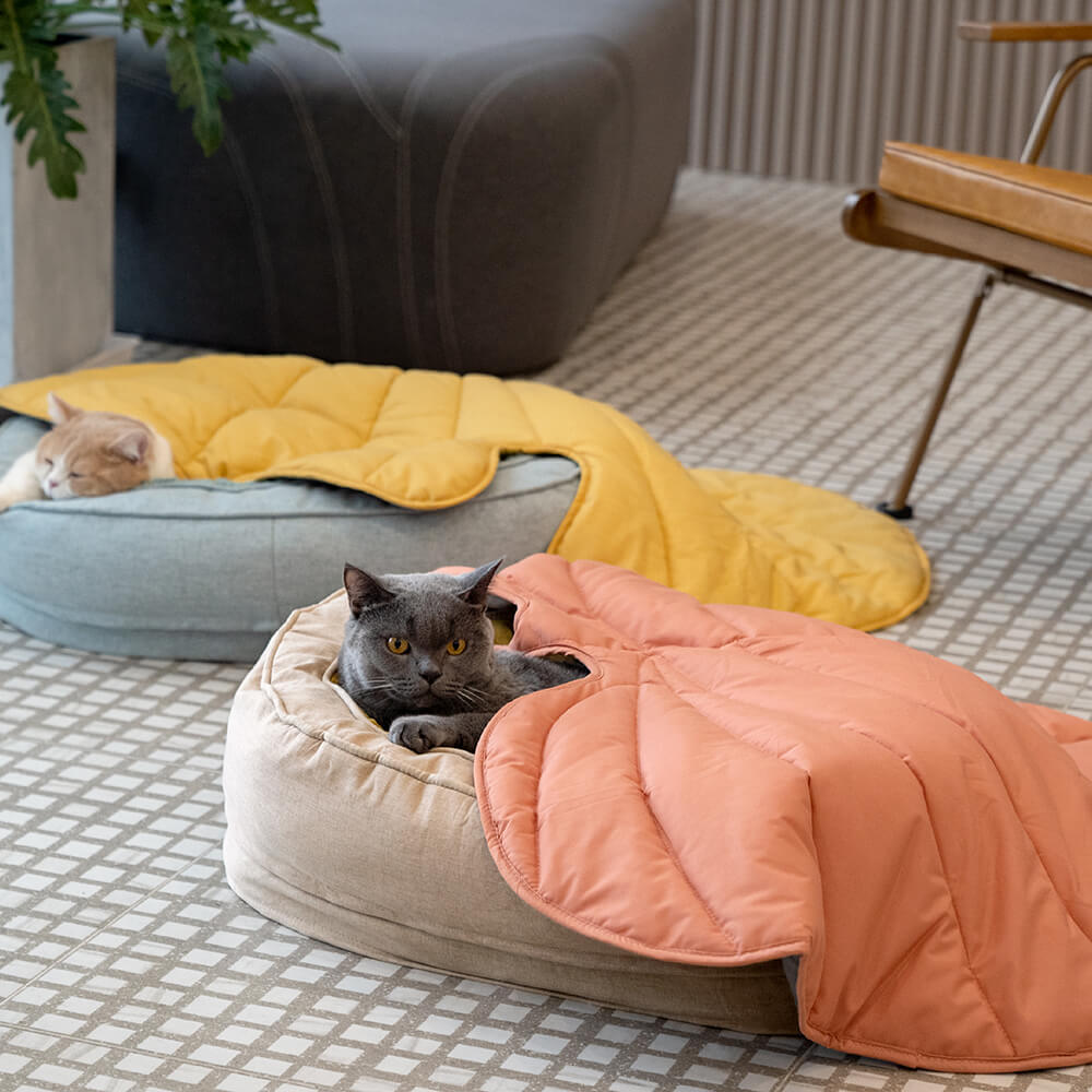 Cama Ortopédica Fofa para Cachorro Donut