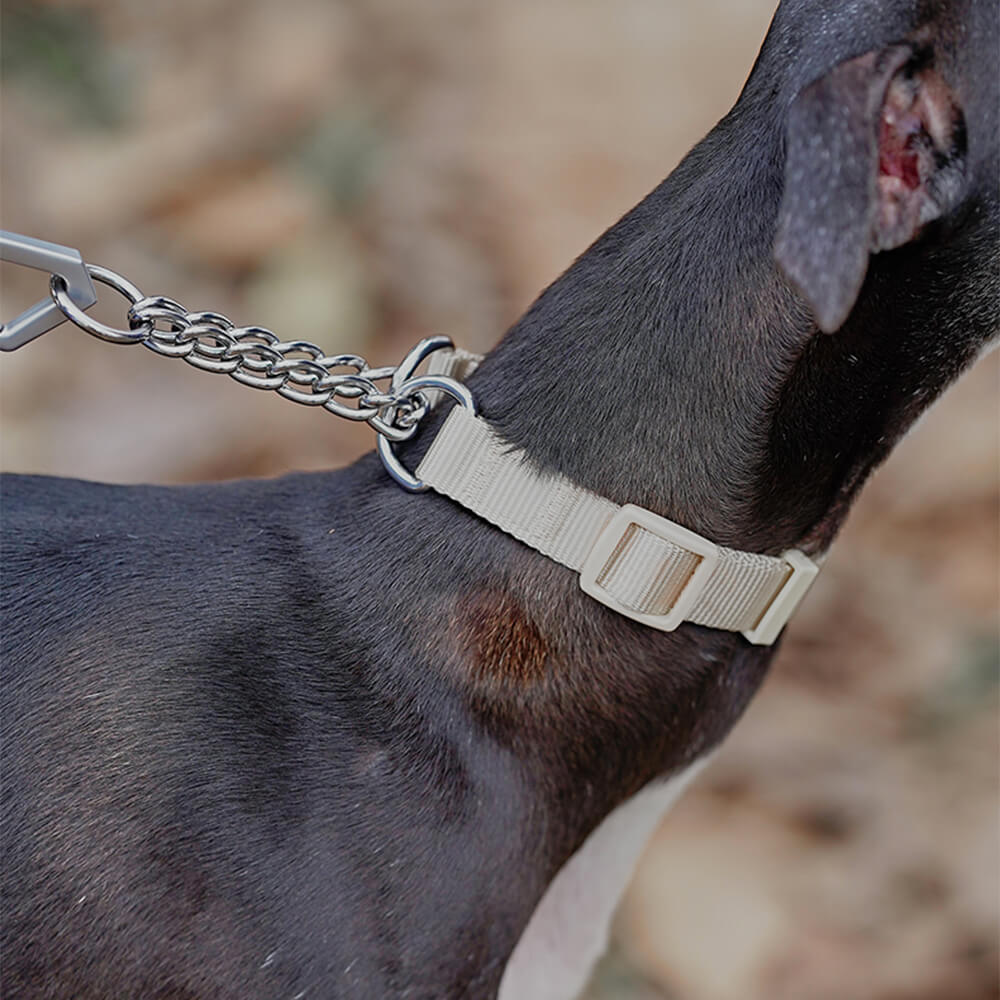 Coleira de treinamento para cães Martingale anti-tração de reação em cadeia