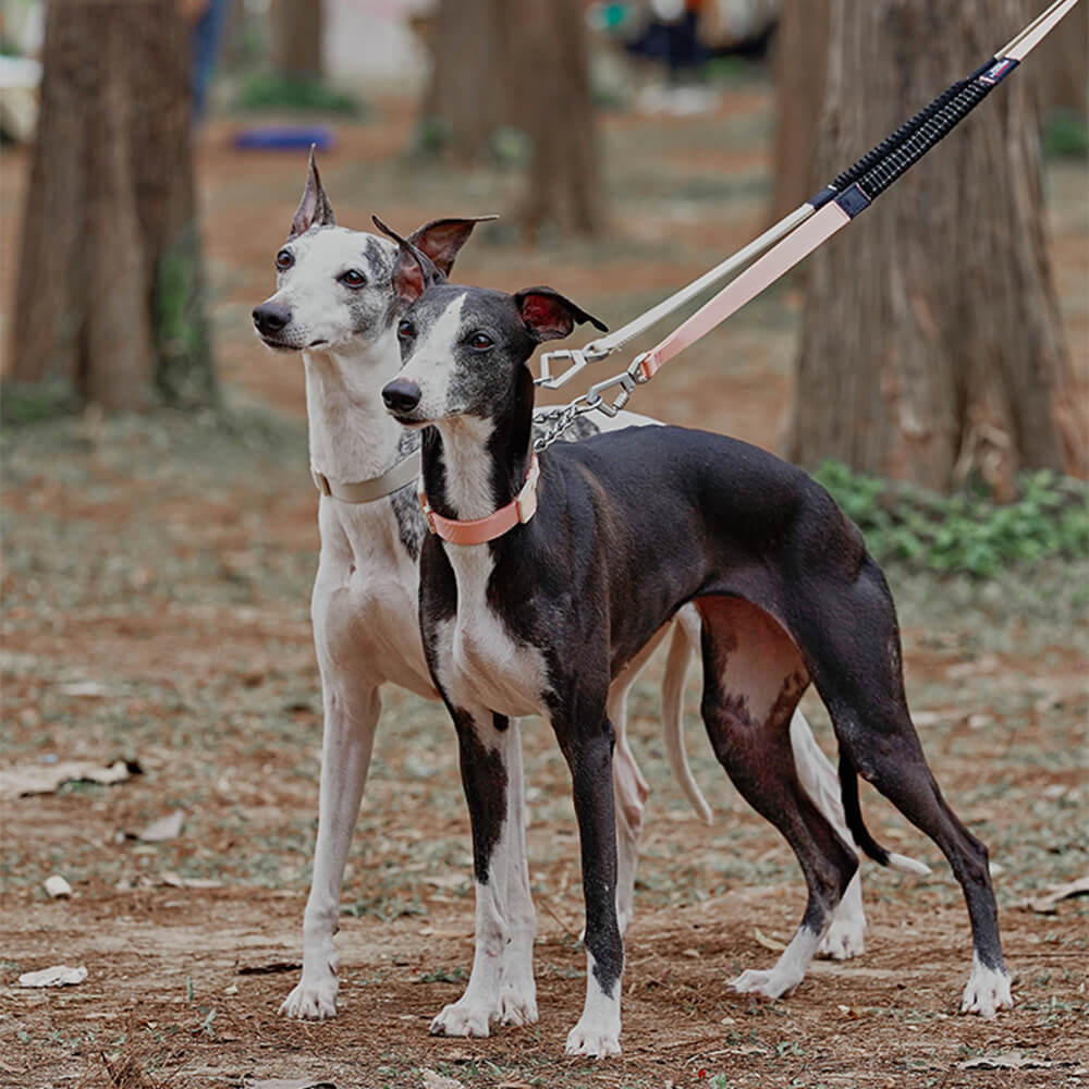 Coleira de treinamento para cães Martingale anti-tração de reação em cadeia